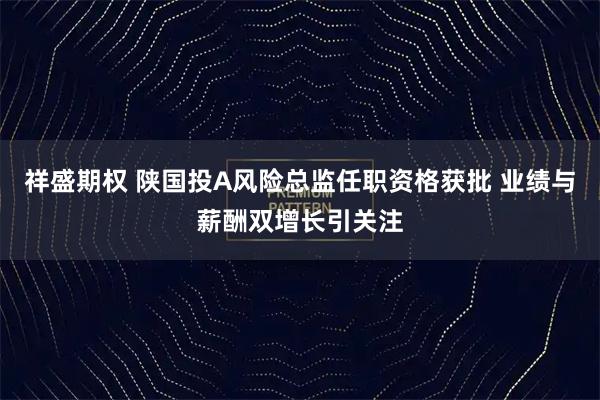 祥盛期权 陕国投A风险总监任职资格获批 业绩与薪酬双增长引关注