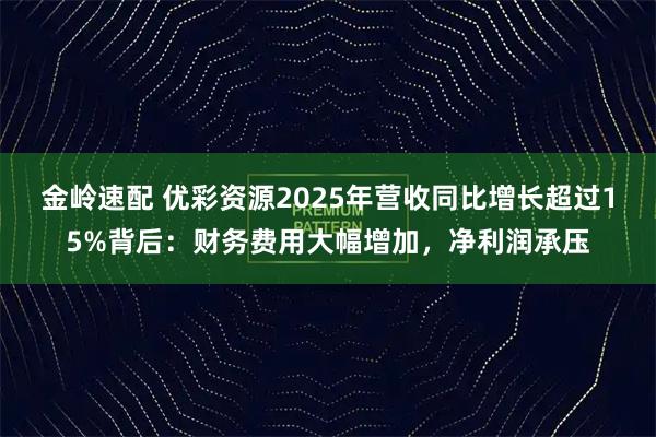 金岭速配 优彩资源2025年营收同比增长超过15%背后:财务费用大幅增加,净利润承压